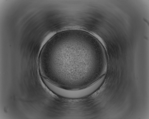 X0000091691389200709131558