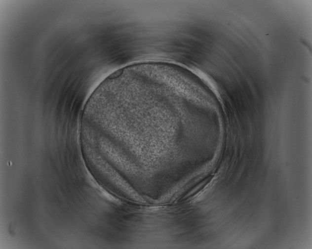 X0000091691390200709131558