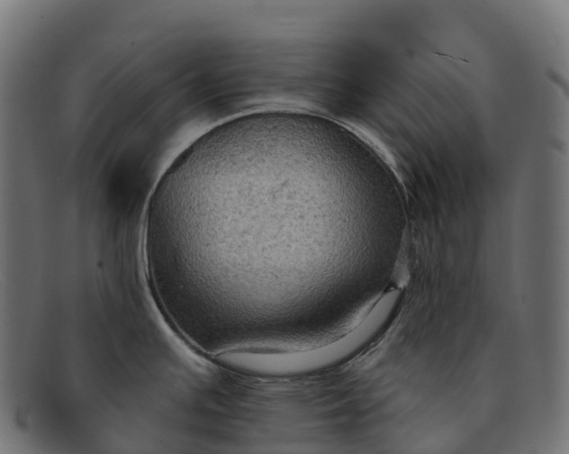 X0000091691391200709131558