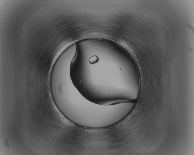 X0000091691392200709131558