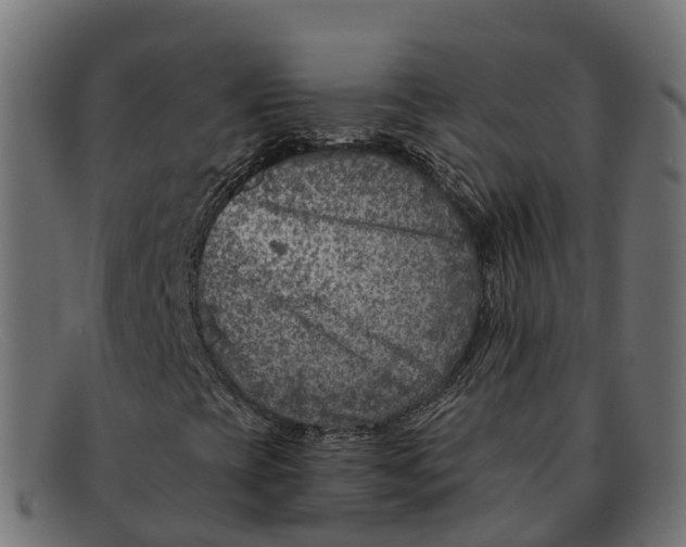 X0000091691393200709131557