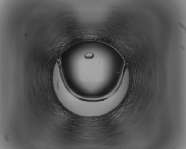 X0000091691394200709131557