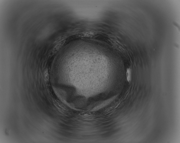 X0000091691395200709131557