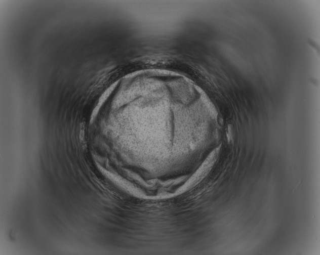 X0000091691396200709131558