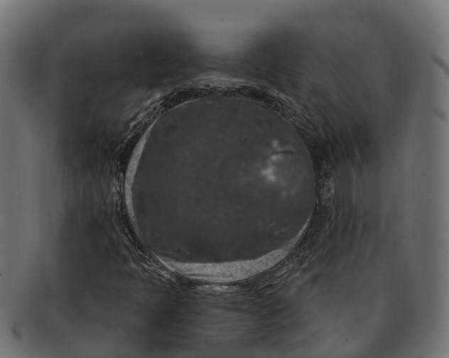 X0000091691397200709131558