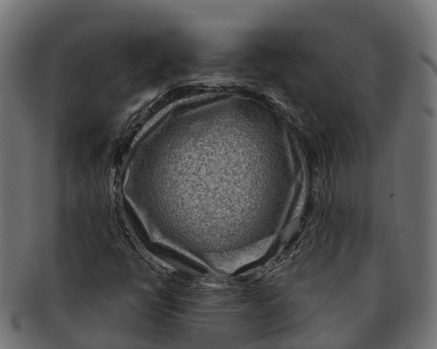 X0000091691398200709131558