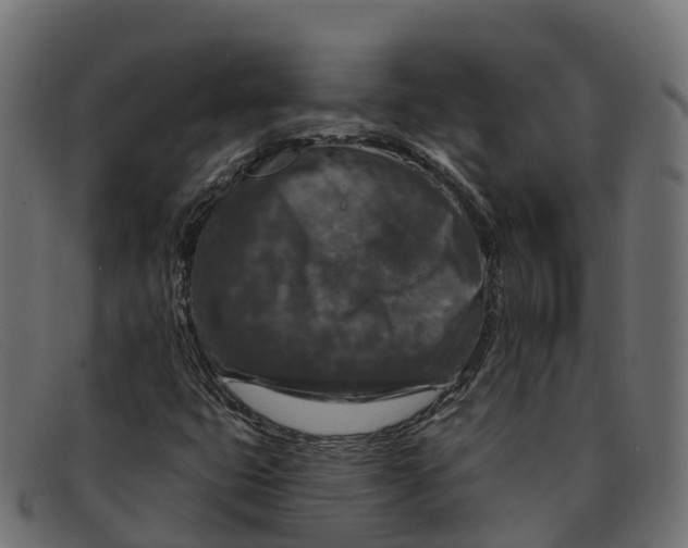 X0000091691399200709131558