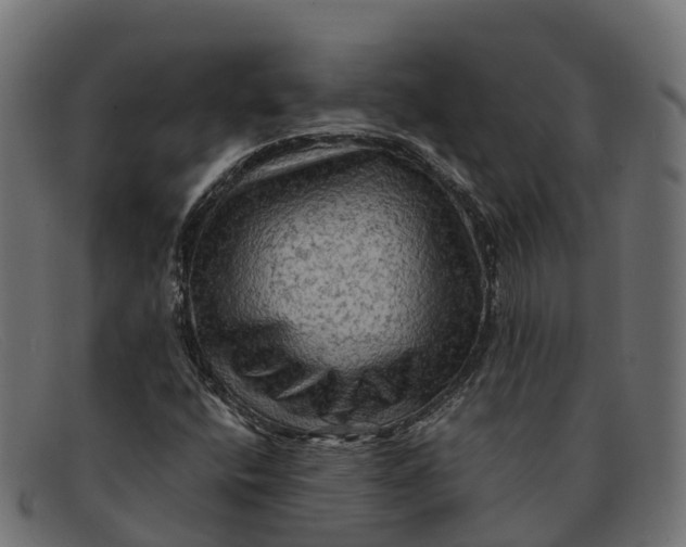 X0000091691400200709131558