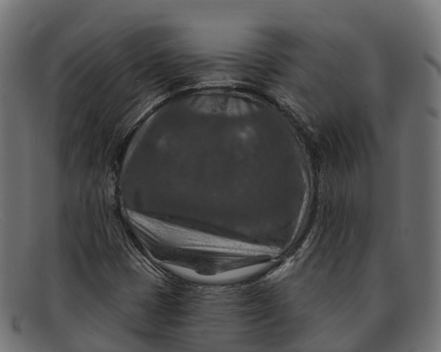 X0000091691401200709131558