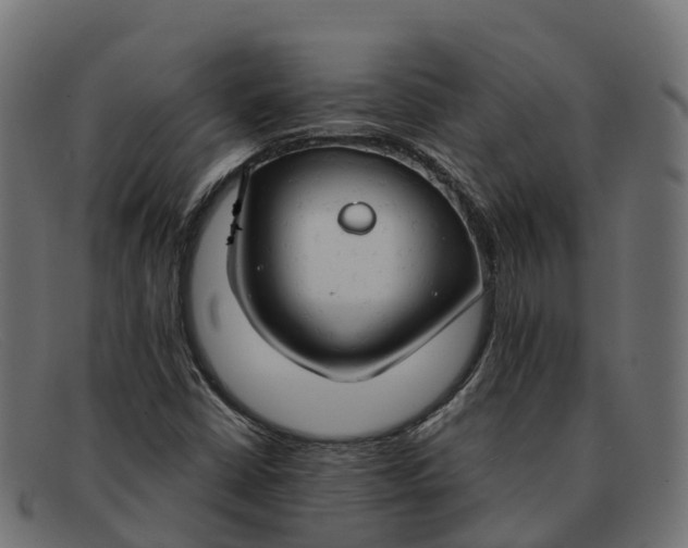 X0000091691402200709131558