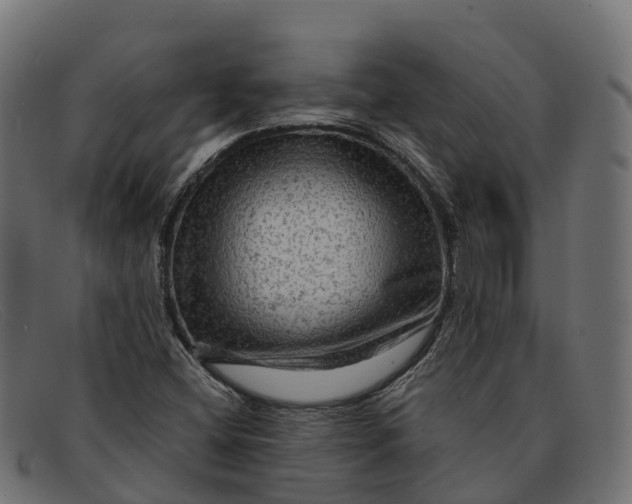 X0000091691404200709131558