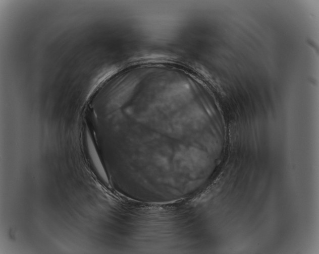 X0000091691405200709131558