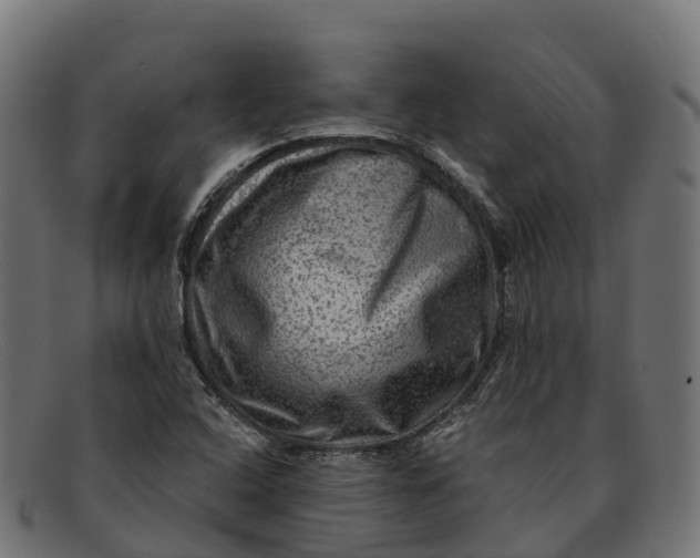 X0000091691408200709131558