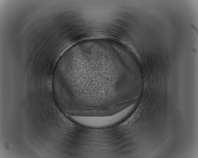 X0000091691409200709131558