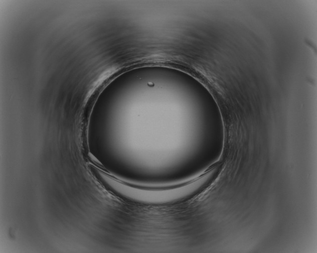 X0000091691410200709131558