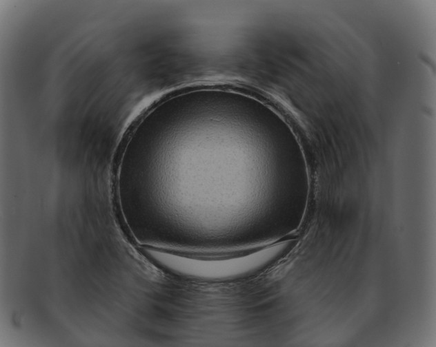 X0000091691412200709131558