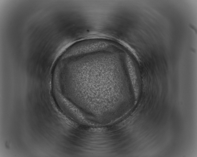 X0000091691415200709131558