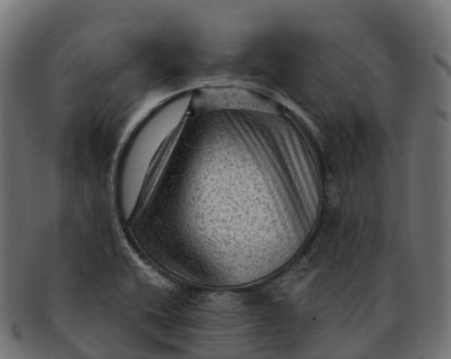 X0000091691416200709131558