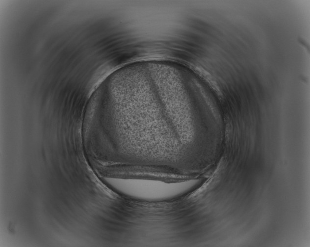 X0000091691417200709131558