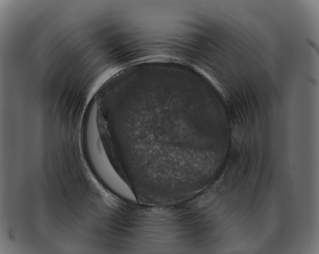 X0000091691418200709131558