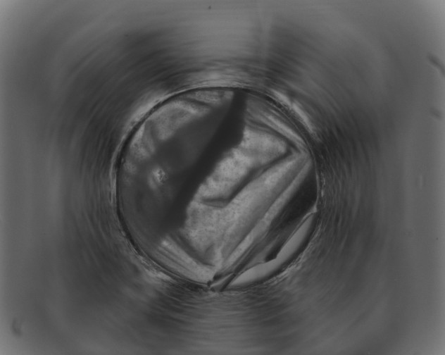 X0000091691419200709131558