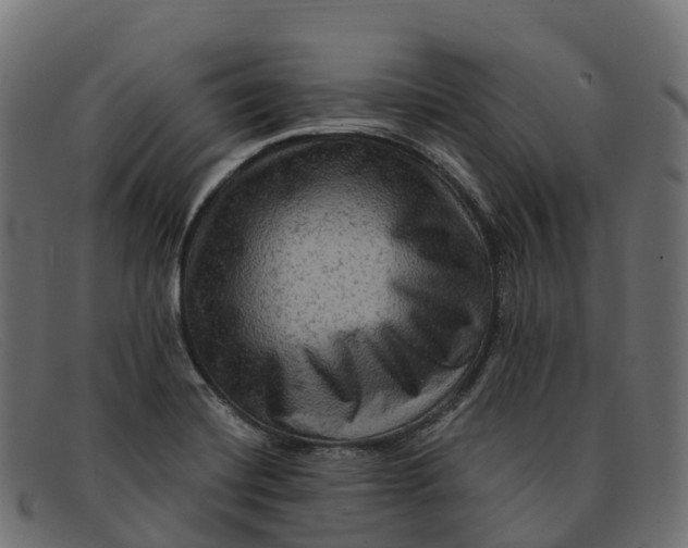 X0000091691420200709131558