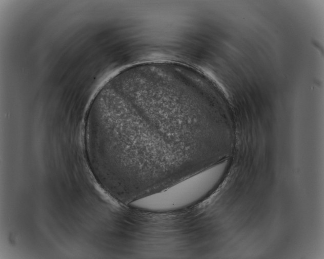 X0000091691421200709131558