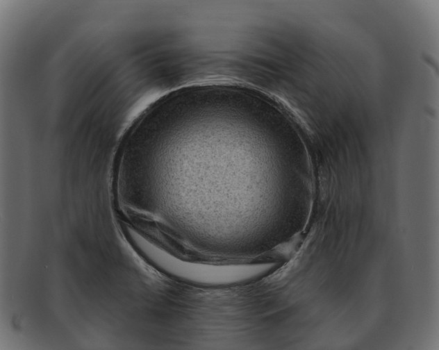 X0000091691422200709131558