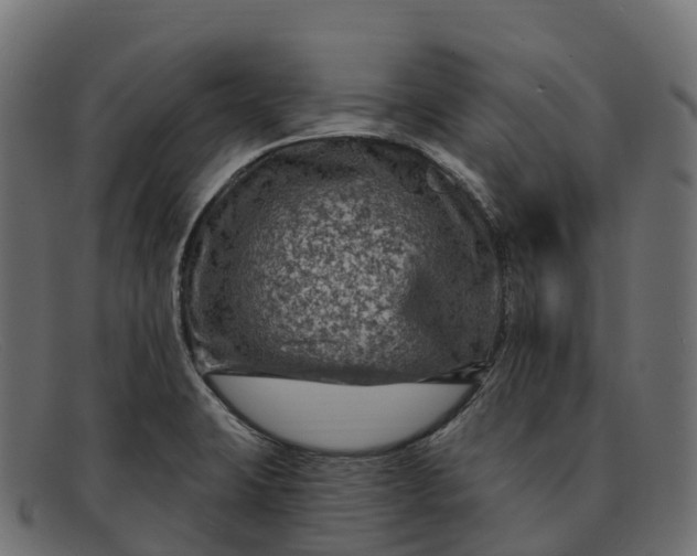 X0000091691423200709131558