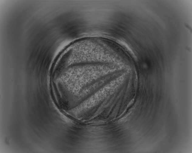 X0000091691424200709131558