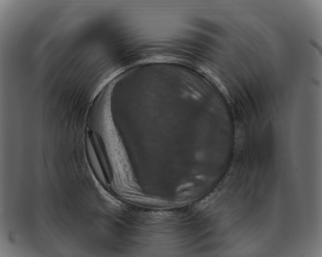 X0000091691425200709131558