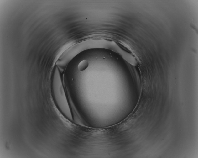 X0000091691426200709131558