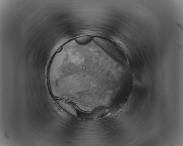 X0000091691427200709131558