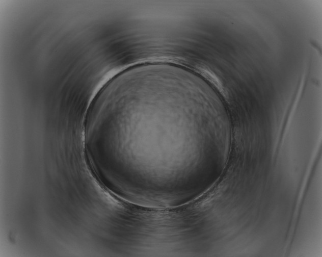 X0000091691428200709131558