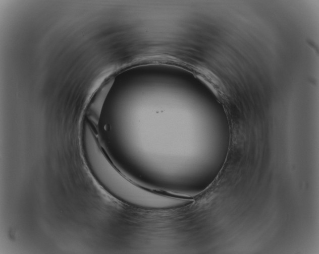 X0000091691430200709131558