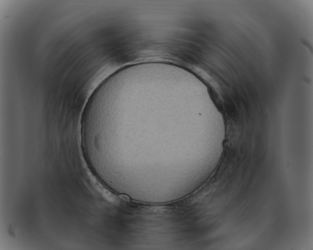 X0000091691431200709131558