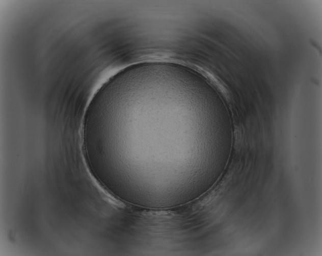 X0000091691432200709131558