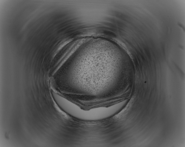 X0000091691433200709131558