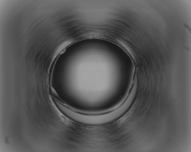 X0000091691434200709131558