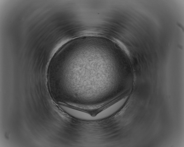 X0000091691435200709131558