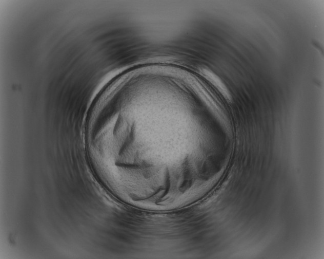 X0000091691436200709131558