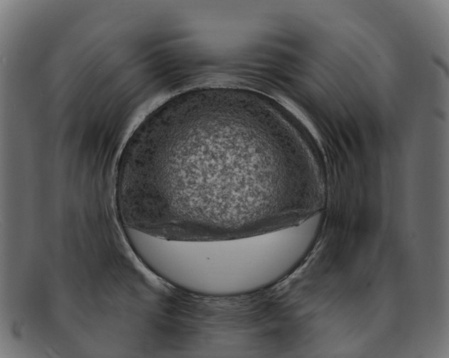 X0000091691437200709131558