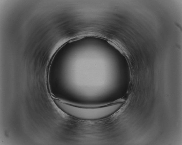 X0000091691438200709131558