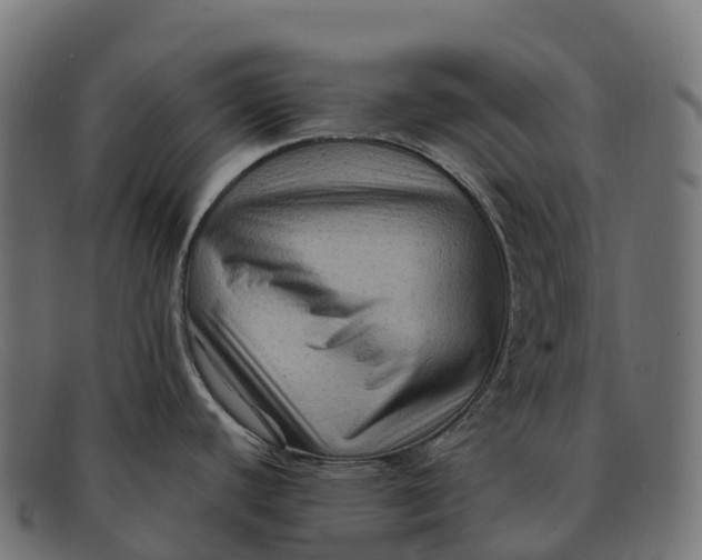 X0000091691440200709131558