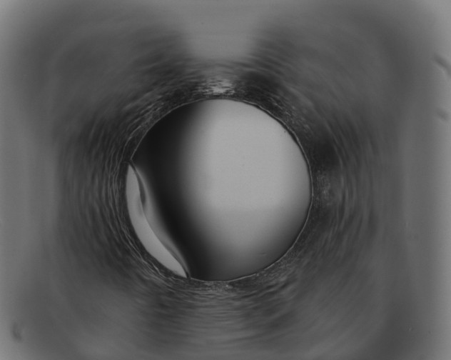 X0000091691442200709131557