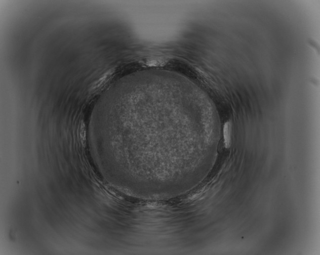 X0000091691443200709131557