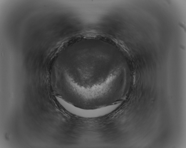 X0000091691445200709131557