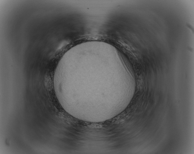 X0000091691446200709131557