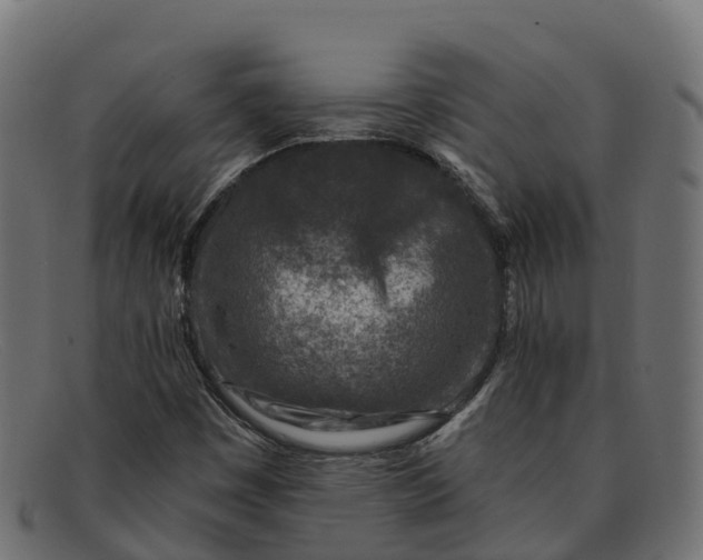 X0000091691449200709131557