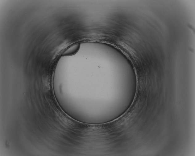 X0000091691451200709131557